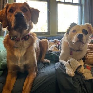 heather jean bundle 5